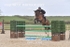 BPP_1091