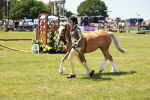 SBM_15706
