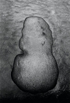Tom Sandberg