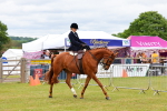 SBM_02929