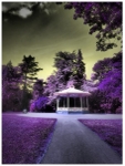 Alien_Afternoon_3F