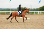 SBM_005334