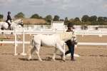 SBM_03376