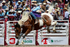 JCook_3792