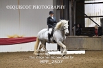 BPP_2507