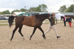 SBM_06887