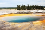 Opal Pool