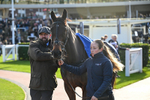 251025-Race 4-Supremely West-8981