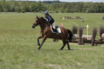 BVHT 140517  IXC -505