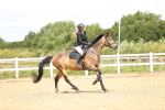 SBM_006468