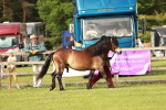 SBM_00424