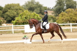 SBM_003808