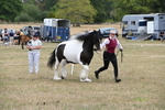 WJ6_5357