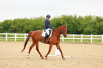 SBM_005635