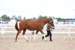 SBM_04524