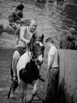 Appleby 014