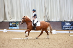 SBM_008066