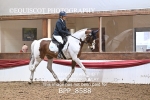 BPP_8588