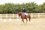 SBM_001288