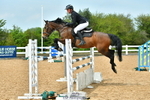 Cls 25 Pony Foxhunter & 1.10m Open portfolio