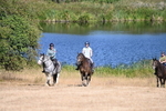WJ6_7754