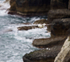 Fulmar gliding along the cliffs at Durlston