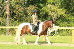 SBM_67387