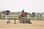 SBM_002096