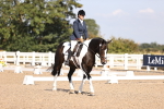SBM_01908