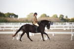 SBM_09197