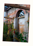 Nina's Garden 3