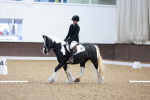 SBM_000446