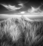 Black & White portfolio