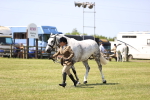 SBM_15204