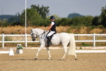 SBM_008228