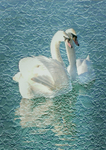 A23 Pebble Swans