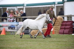 SBM_09754