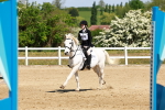 SBM_007644