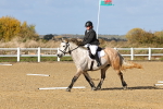 SBM_001008