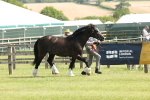 SBM_02342