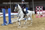 BPP_9522