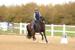 SBM_000557