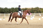 SBM_009431