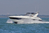 190825 BALLENA - TARGA 43 1Y3A1191