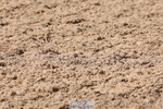 240706A-161547-04364