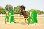 SBM_001828