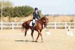 SBM_017016