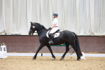 SBM_000536