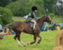Dunblane show-25