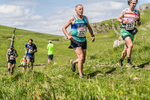 Settle Hills-210